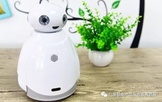 智能引領(lǐng)，教育先行 2018年少兒智能產(chǎn)品與教育機器人展揭示行業(yè)發(fā)展新篇章